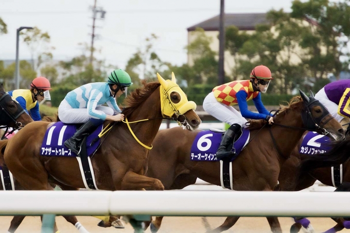 2021/12/5 チャンピオンズカップ(G1) アナザートゥルース