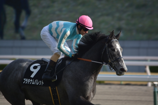 福寿草特別_返し馬 プラチナムバレット
