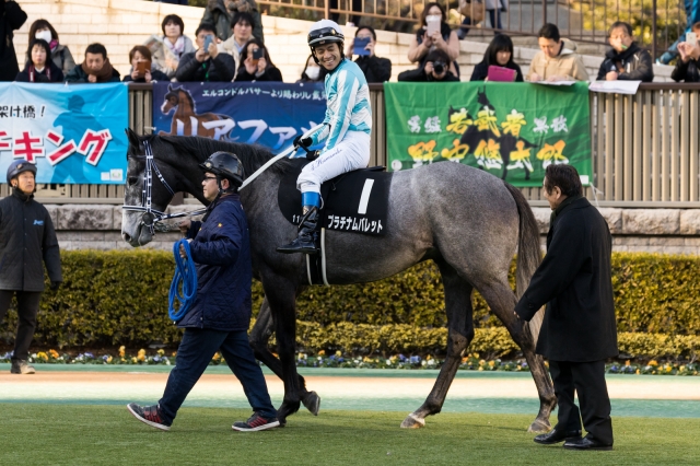 白富士S プラチナムバレット