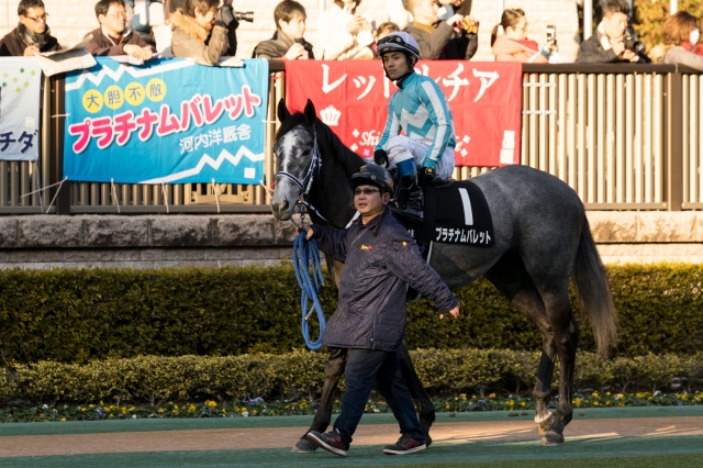 白富士S プラチナムバレット