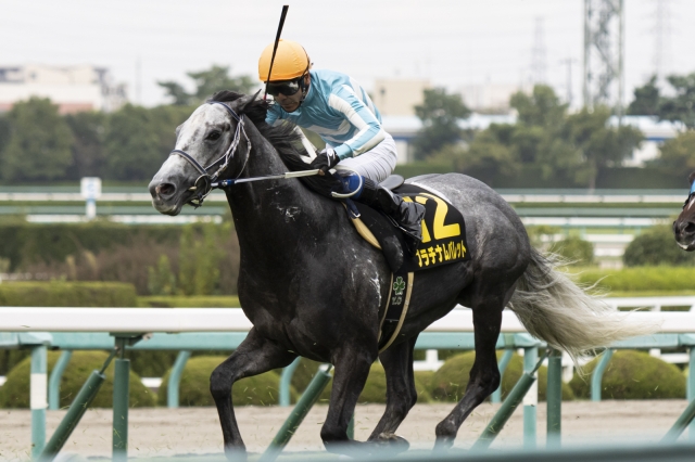 ポートアイランドステークス プラチナムバレット