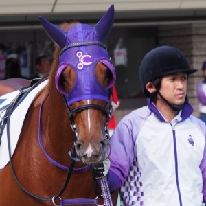 11/5 1R 未勝利戦 パドック