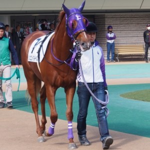 11/5 1R 未勝利戦 パドック