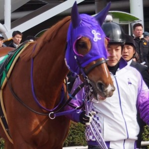 アクアマリンフラワー賞 パドック1