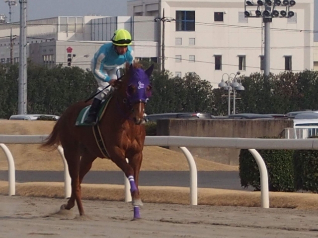 アクアマリンフラワー賞 返し馬 シュエットヌーベル