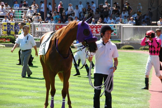 9月4日　新潟6R　新馬戦 シュエットヌーベル