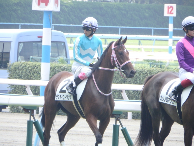 新馬戦本場馬入場　藤岡康太騎手騎乗 デスティニーソング