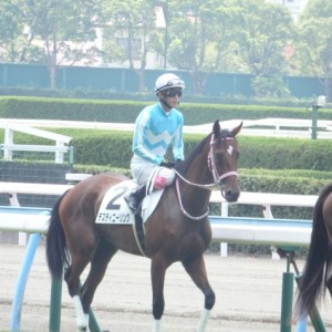 新馬戦本場馬入場　藤岡康太騎手騎乗