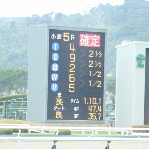 新馬戦　　着順掲示板