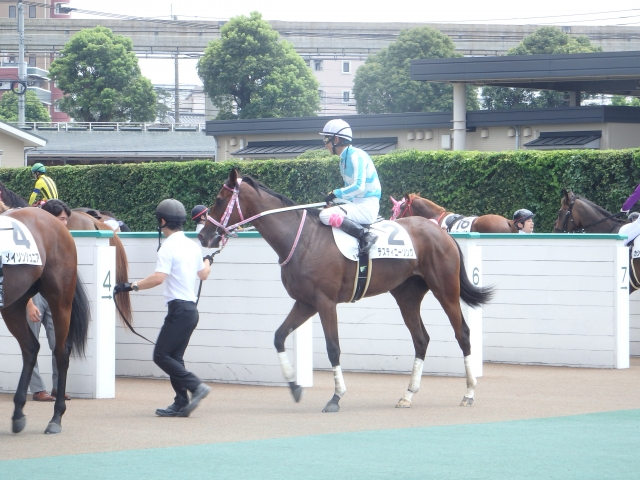 新馬戦レース後　藤岡康太騎手騎乗 デスティニーソング