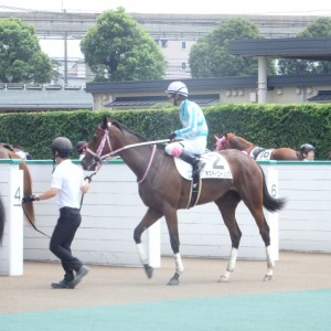 新馬戦レース後　藤岡康太騎手騎乗