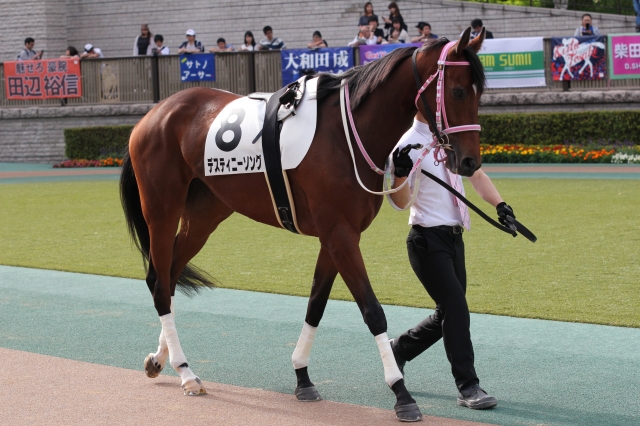 2018年5月19日 4歳以上1000万円以下 パドック デスティニーソング
