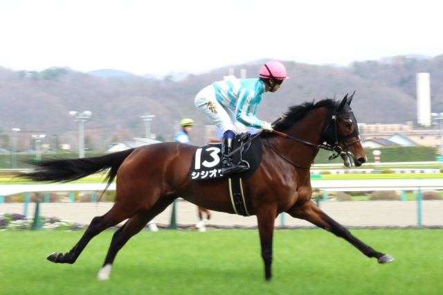 ひめさゆり賞／返し馬 シシオウ