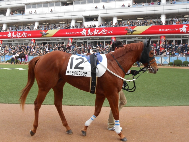 有馬記念の告知をバッグに キャラメルフレンチ