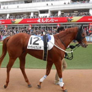 有馬記念の告知をバッグに