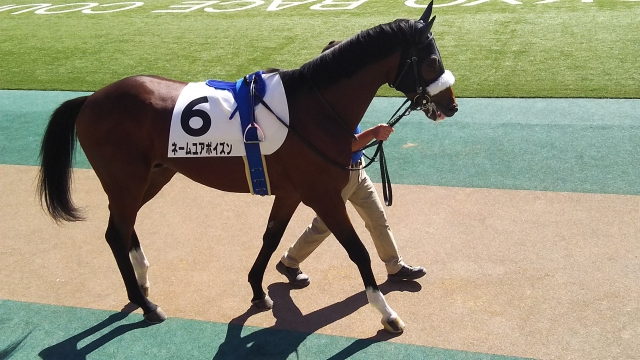 ゆったりとしたいい周回🎵 ネームユアポイズン