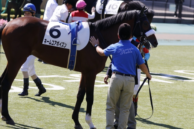 パドック ネームユアポイズン