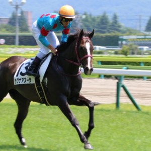 本馬場入場