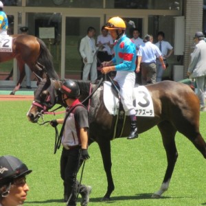 初勝利時パドック1