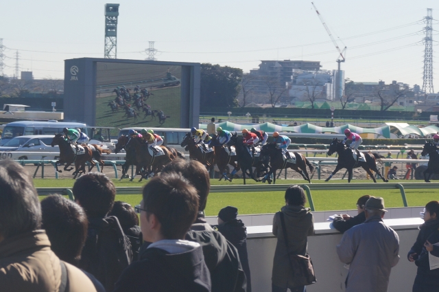 新馬戦レース カリンバ