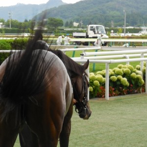 勝ち馬口取り時