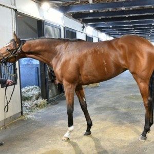 11月2日 ノーザンファーム天栄にて