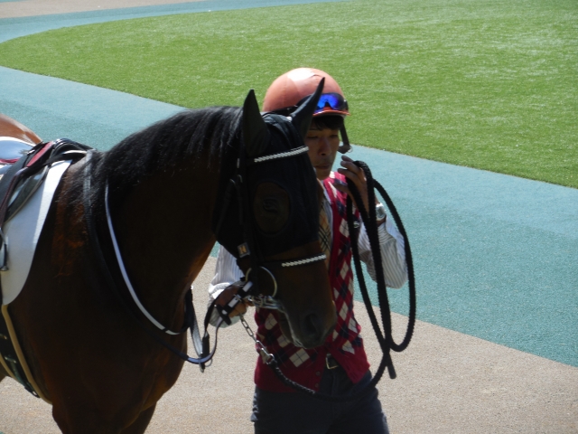 パドック キンナリー