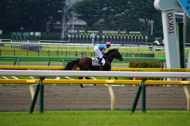 返し馬 ブロードアリュール