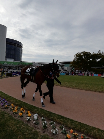 2020.1.26.京都9R 祇園特別 インヘリットデール