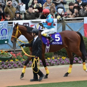 中山大障害パドック