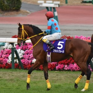 中山大障害本馬場入場　