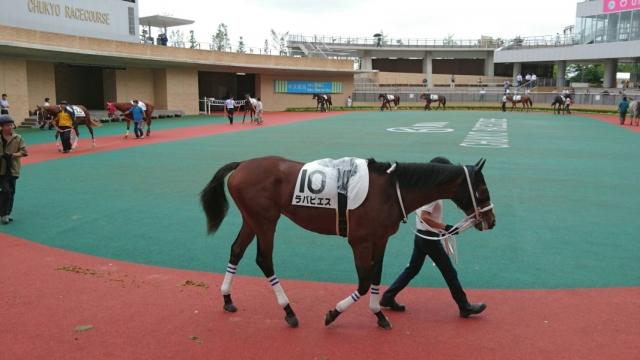 プラタナス賞パドック ラバピエス