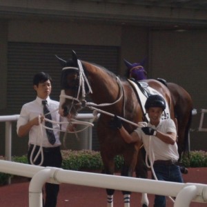 17/09/18パドック