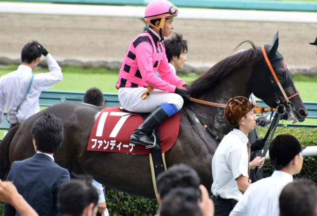 本馬場入場 ファンディーナ