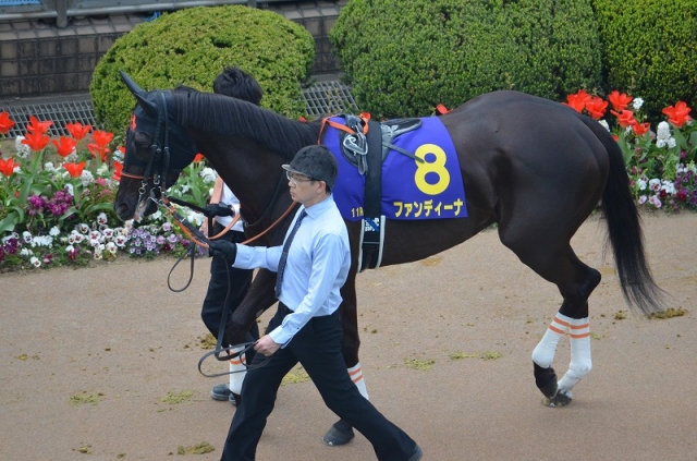 皐月賞パドック ファンディーナ