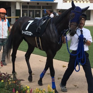 カメラ目線⁉︎可愛い〜♪