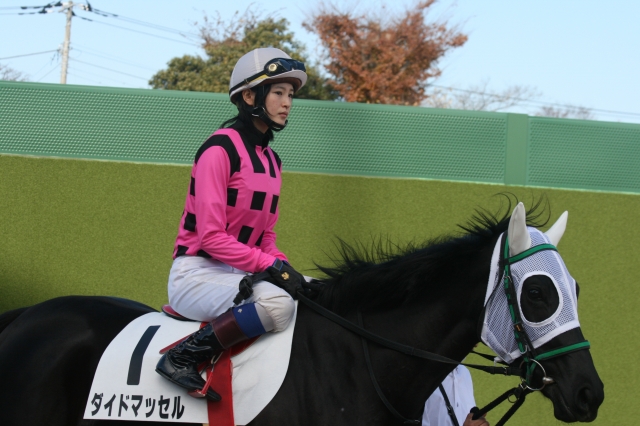 新馬戦グランプリロード ダイドマッセル