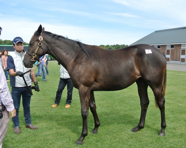 見学ツアー ムスターヴェルク