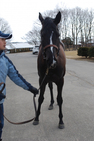 ＮＦ空港にて ムスターヴェルク