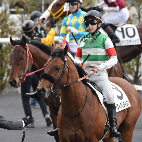 レース後 ベストプレディクト