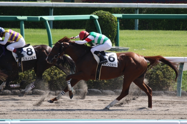 2017年10月01日　3歳未勝利戦　直線 キャノンショット