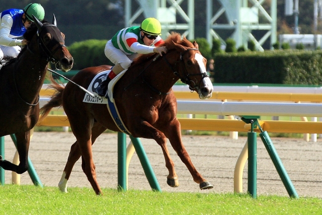 2016.11.6 東京5R 新馬戦 パルフェクォーツ