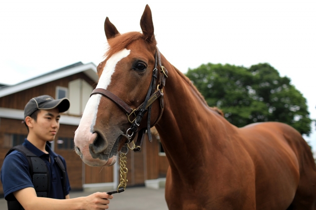 2018年7月 ノーザンファーム早来 パルフェクォーツ