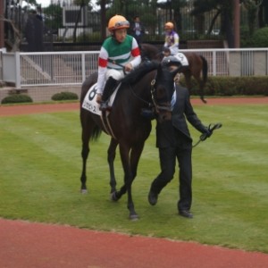 新馬戦パドック