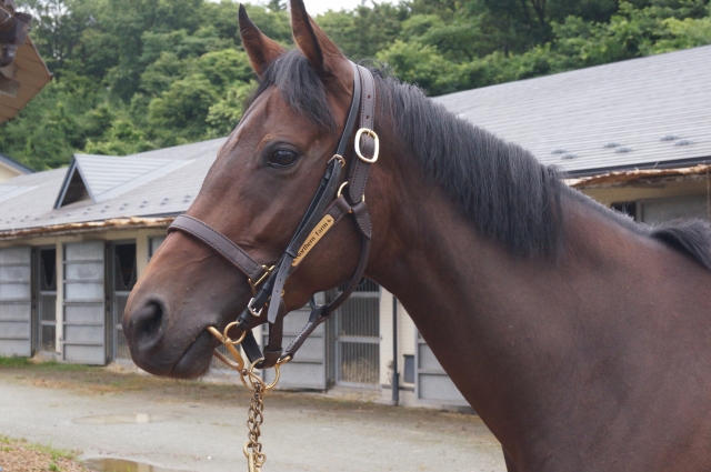 NF天栄 リカビトス