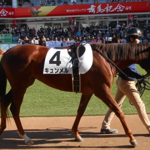 単勝1.9倍の一番人気に支持されたキュンメルのデビュー戦！