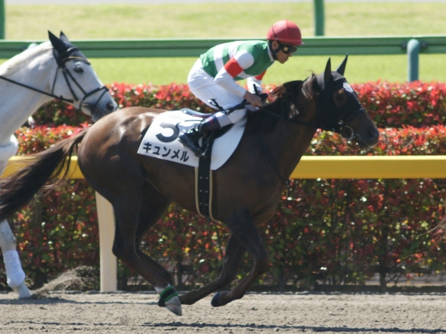 ３戦目返し馬 キュンメル