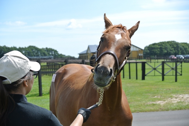 見学ツアー① チャームクォーク