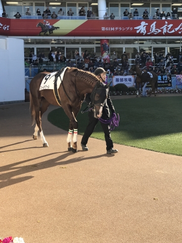 未勝利① フェールデクール