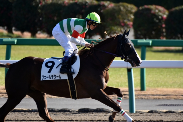 返し馬② フェールデクール